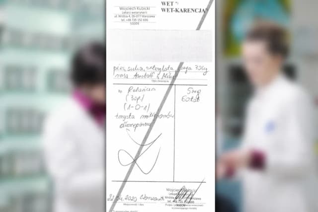 Czy weterynarz może wypisać receptę dla człowieka? Oto prawda Czy weterynarz może wypisać receptę dla człowieka? Oto prawda