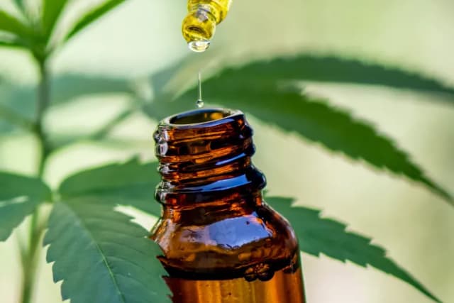 Jaki olej CBD dla psa wybrać, by uniknąć problemów zdrowotnych? Jaki olej CBD dla psa wybrać, by uniknąć problemów zdrowotnych?