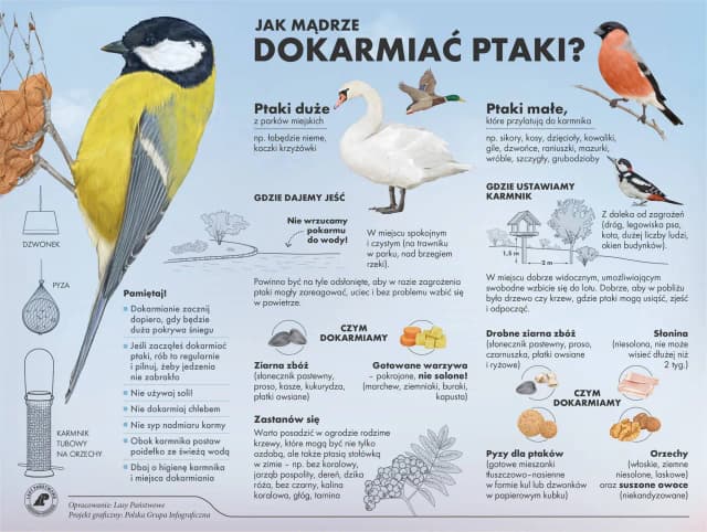Czy gołębie jedzą płatki owsiane? Bezpieczne opcje żywieniowe dla ptaków Czy gołębie jedzą płatki owsiane? Bezpieczne opcje żywieniowe dla ptaków