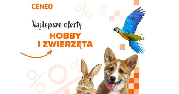 Ile kosztuje klatka dla papugi? Ceny, które zaskoczą każdego właściciela Ile kosztuje klatka dla papugi? Ceny, które zaskoczą każdego właściciela